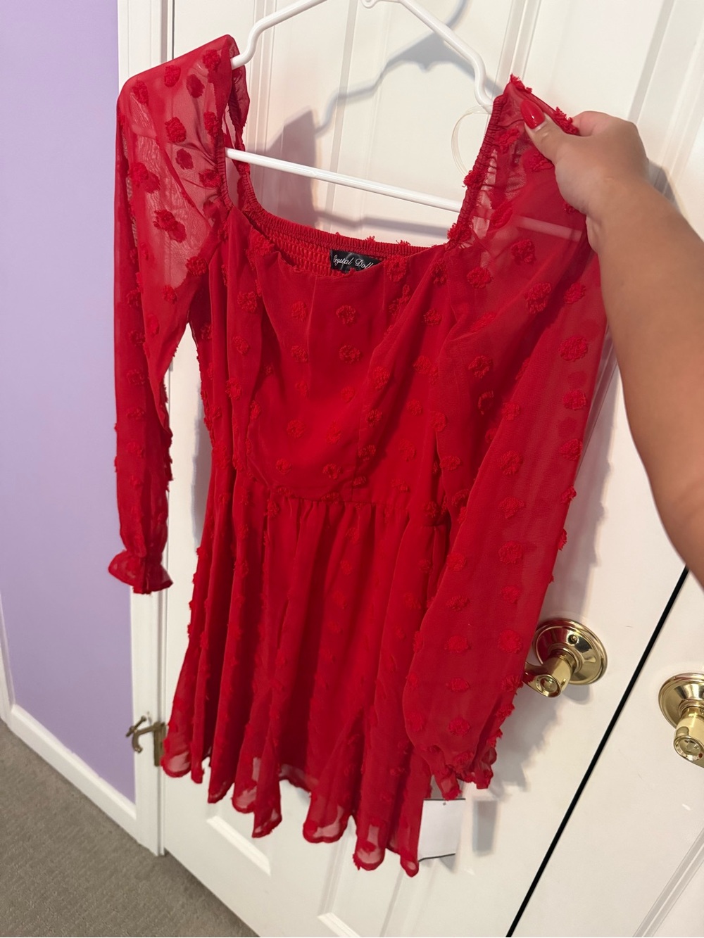 Crystal Doll Red Sheer Long-Sleeve Textured Mini Dress